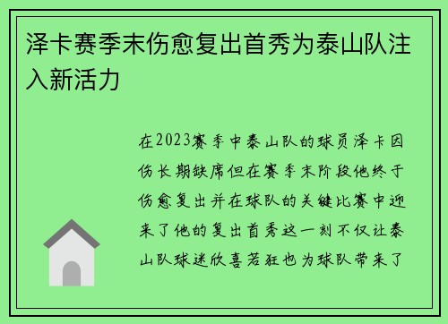 泽卡赛季末伤愈复出首秀为泰山队注入新活力 泽卡赛季末伤愈复出首秀为泰山队注入新活力